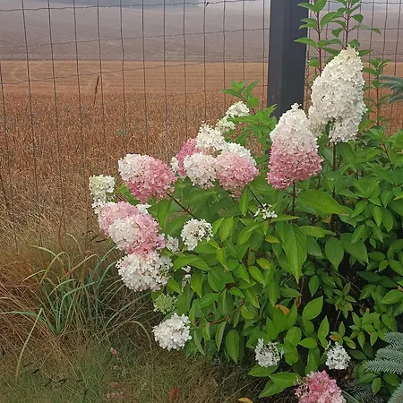 Sobadz - Po Prostu Badz *