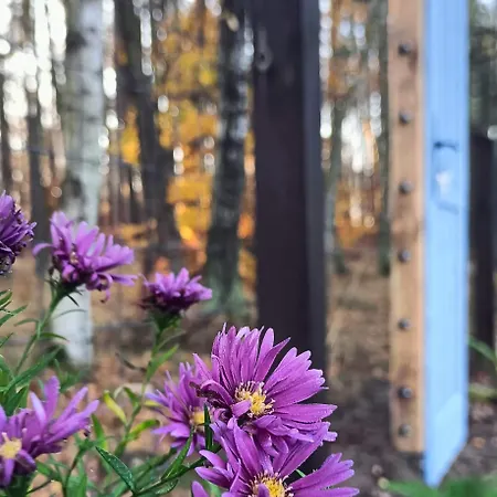 Sobadz - Po Prostu Badz