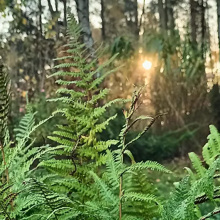 Дом отдыха Sobadz - Po Prostu Badz *