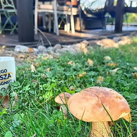 Дом отдыха Sobadz - Po Prostu Badz