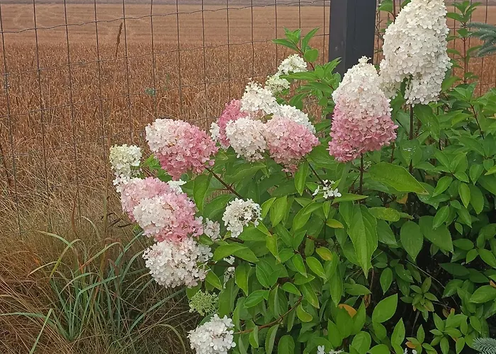 Sobadz - Po Prostu Badz *