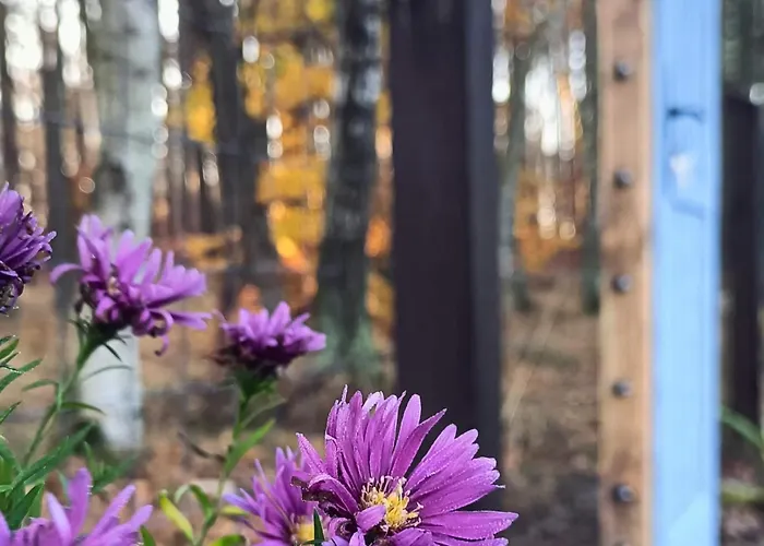 Sobadz - Po Prostu Badz