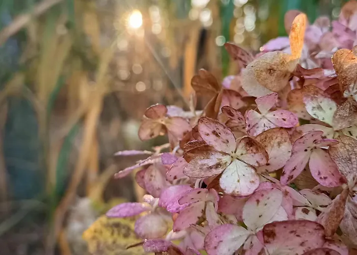 Sobadz - Po Prostu Badz