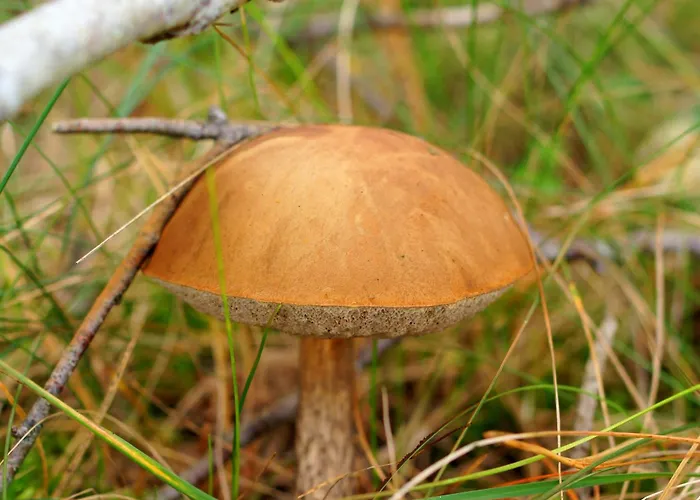 Sobadz - Po Prostu Badz Σπίτι διακοπών Sobącz