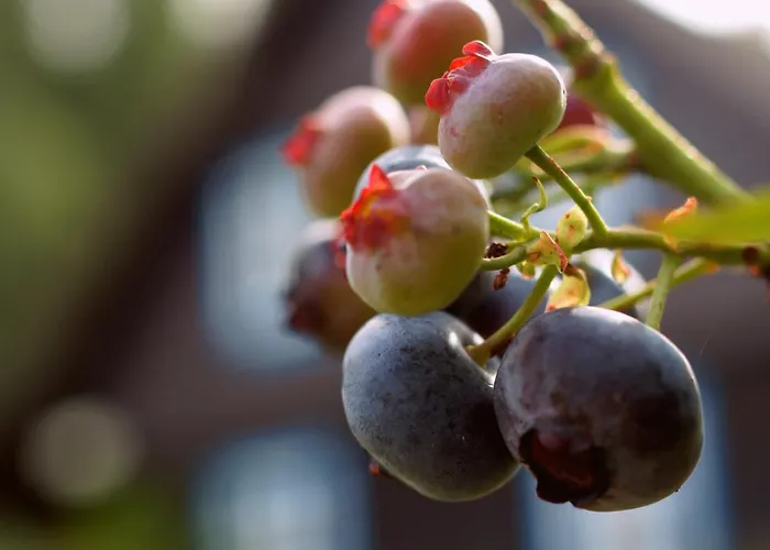 Sobadz - Po Prostu Badz Σπίτι διακοπών Sobącz