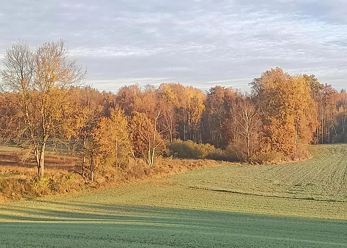 Sobadz - Po Prostu Badz Σπίτι διακοπών Sobącz