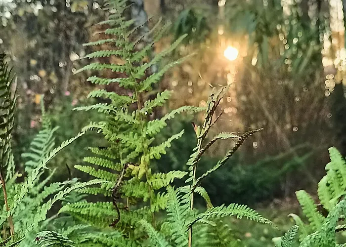 Σπίτι διακοπών Sobadz - Po Prostu Badz *