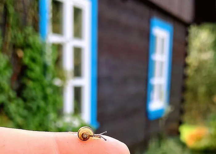 Sobadz - Po Prostu Badz Σπίτι διακοπών Sobącz