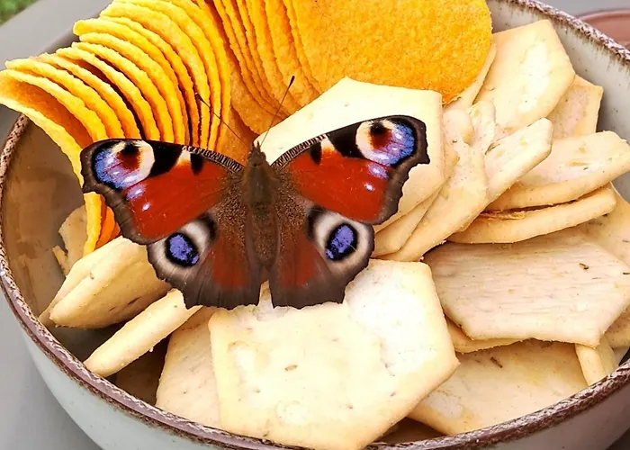 Sobadz - Po Prostu Badz Σπίτι διακοπών Sobącz