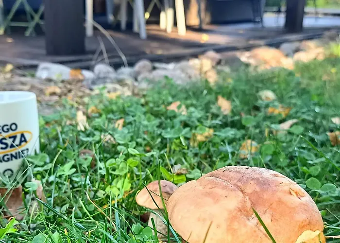 Σπίτι διακοπών Sobadz - Po Prostu Badz